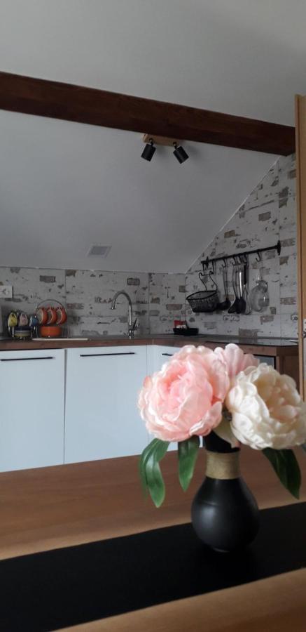 Apartman Megi & Studio Apartman Tomi - Self Check In Krapina Esterno foto